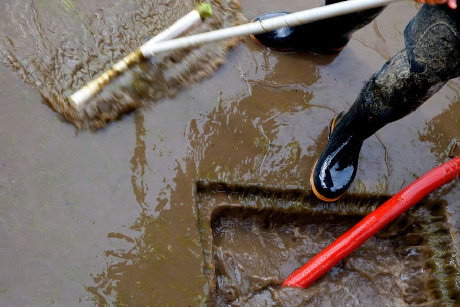 Sewage Backup Cleanup Service