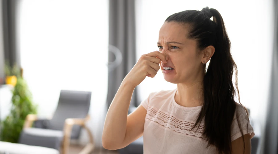 odor removal services